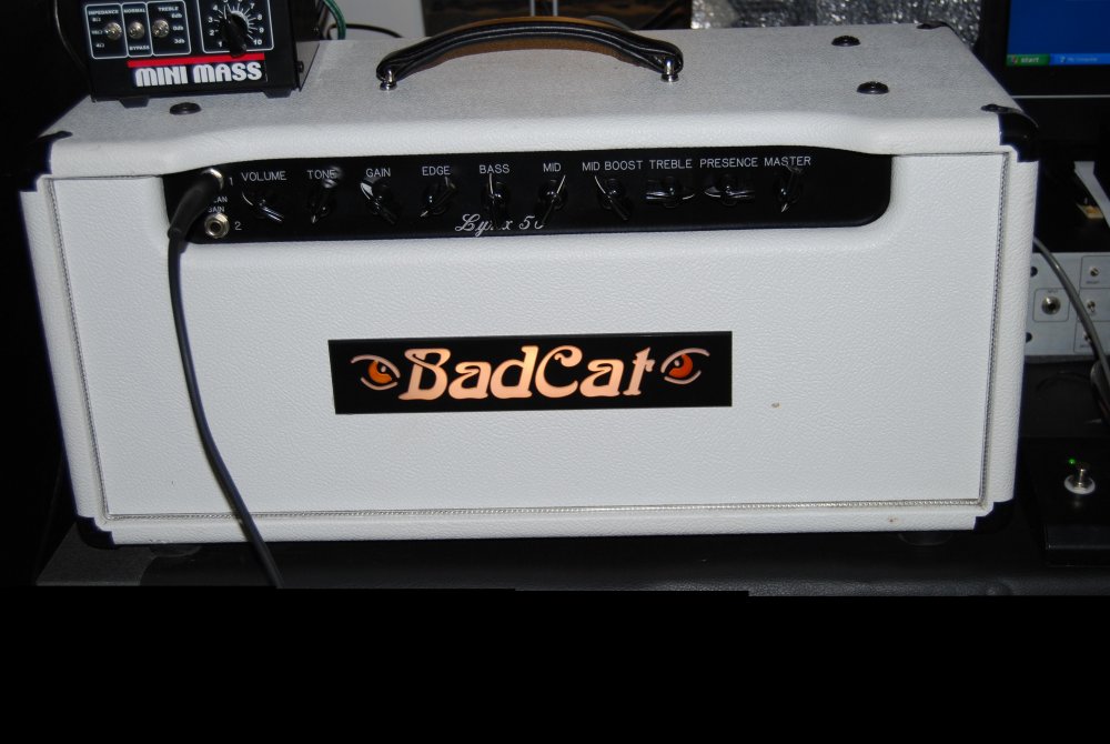 Badcat_Lynx_1.thumb.JPG.8ccbb3cff800801bc3493d2a968dcc08.JPG