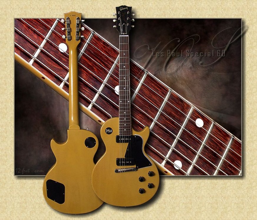 Gibson_Les_Paul_Special_VOS_60_single_cutaway1.thumb.jpg.571662253d2dcdc3b5a54a1a920dc429.jpg