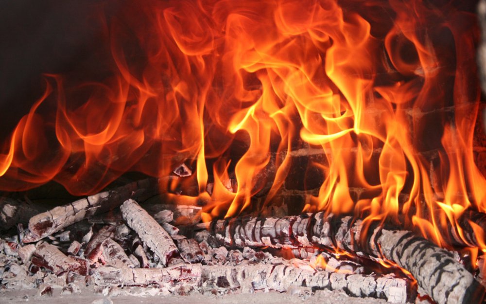 Wood_Burning_In_A_Fireplace.thumb.jpg.0806f736867742a4f1fcc6e47f54d5f3.jpg