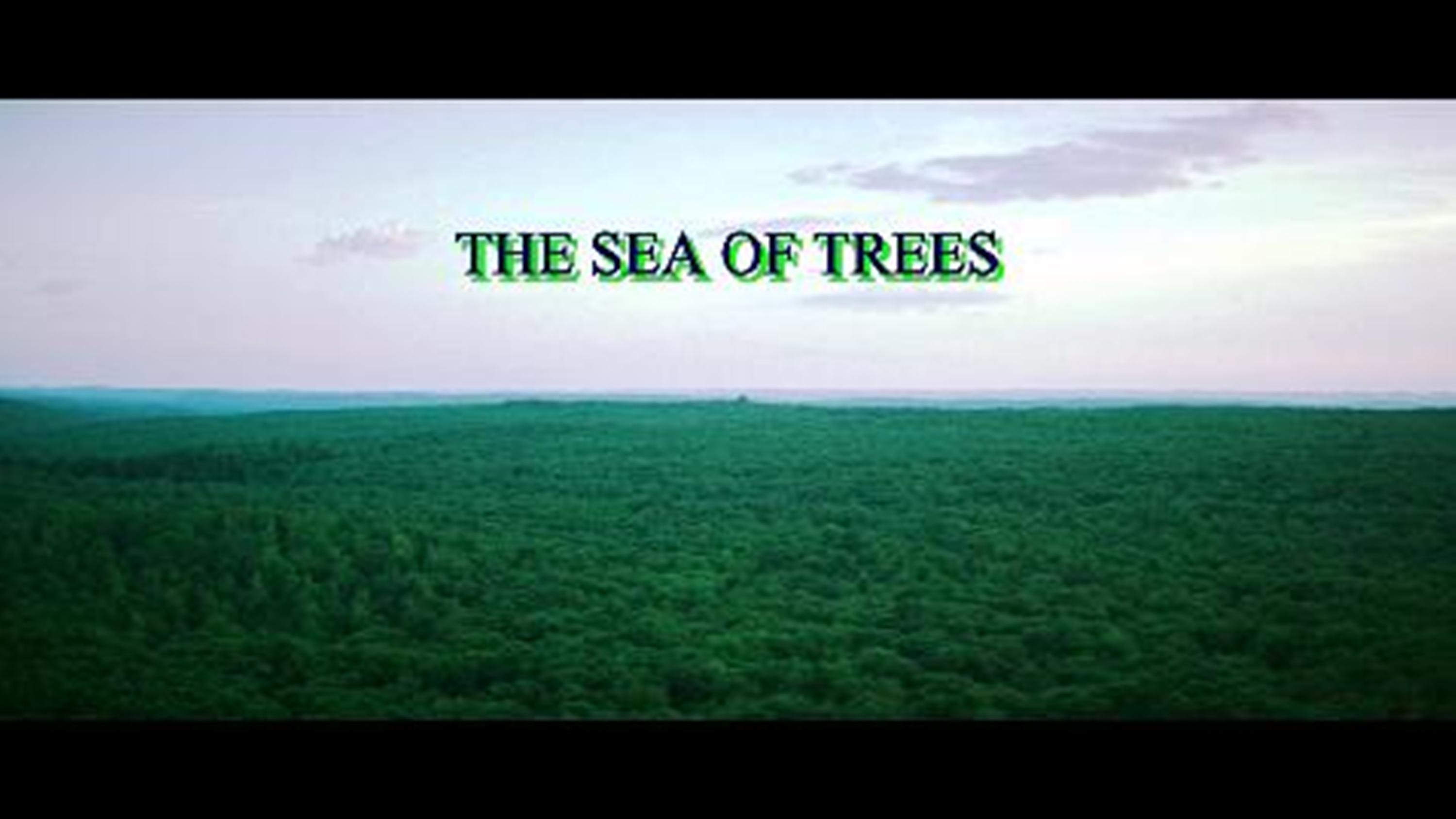 Περισσότερες πληροφορίες για "THE SEA OF TREES"