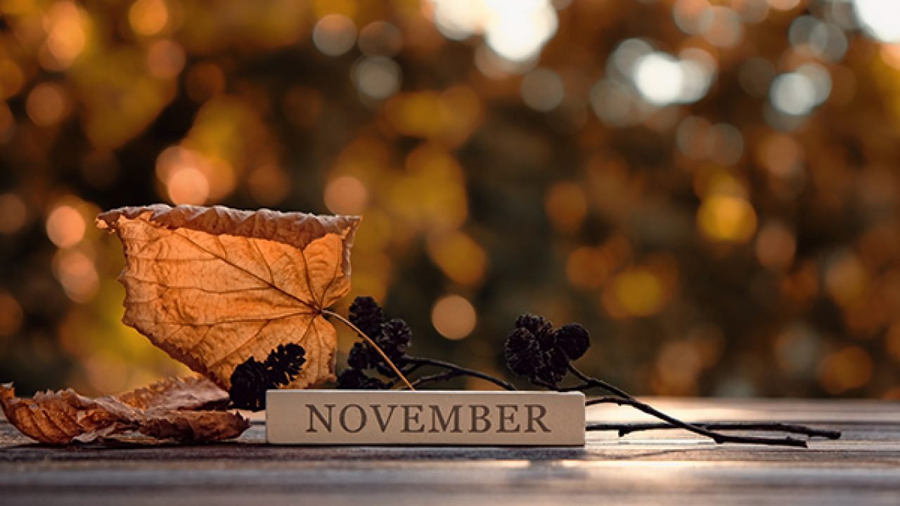 Περισσότερες πληροφορίες για ""A day in November" - gkourmoul1"