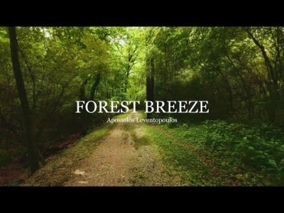 Περισσότερες πληροφορίες για "Forest Breeze - Apostolos Leventopoulos"